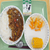 夏野菜たっぷり