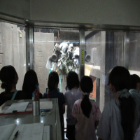 クリーンセンター見学【４年生】